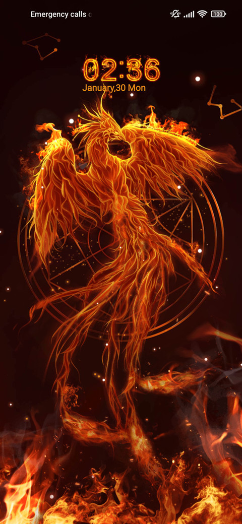 Phoenix in Fire screenshot