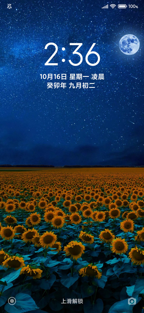 24H壁纸—花海 screenshot