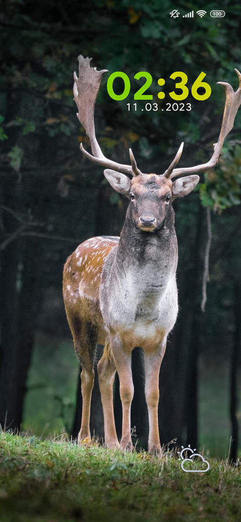 nature deer screenshot