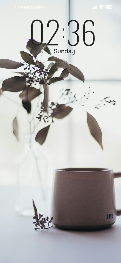 Vase with Flower screenshot
