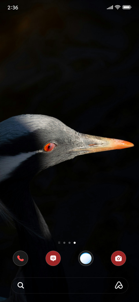 Red Eye Crane screenshot