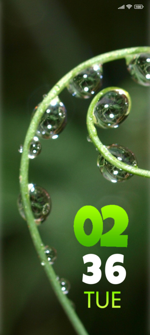 Rain flora screenshot