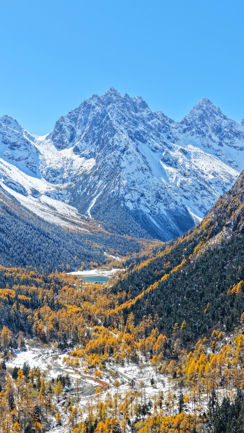 The picture of autumn screenshot