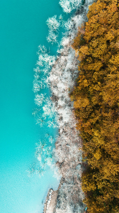 The color contrast of autumn screenshot