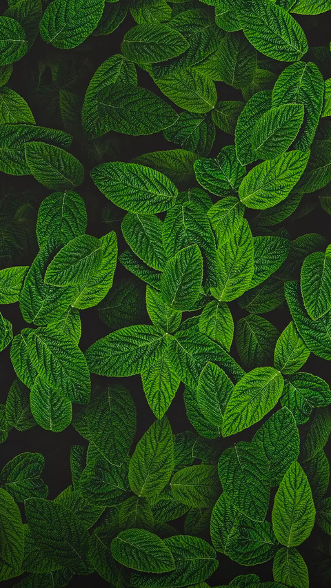 禁止焦虑！ screenshot
