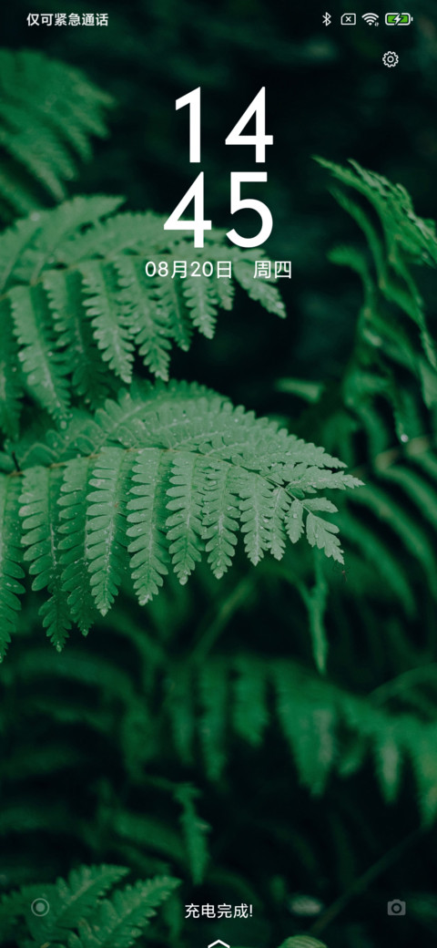 夏末 screenshot