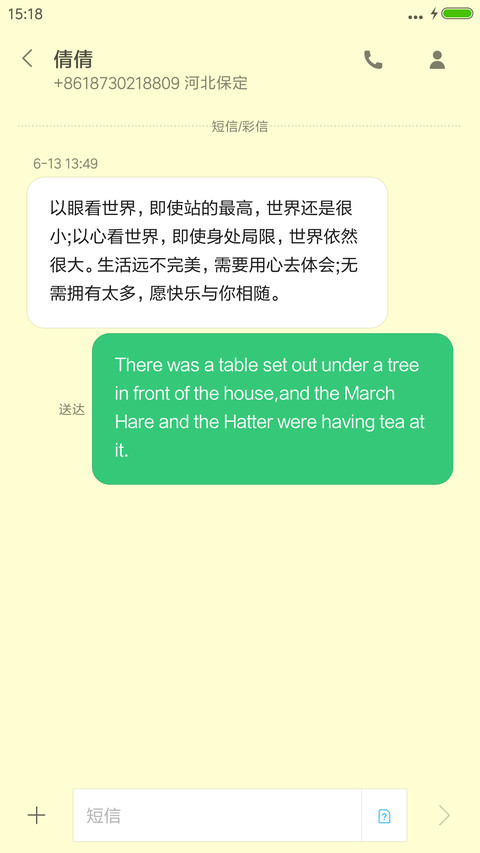 极简风格 screenshot