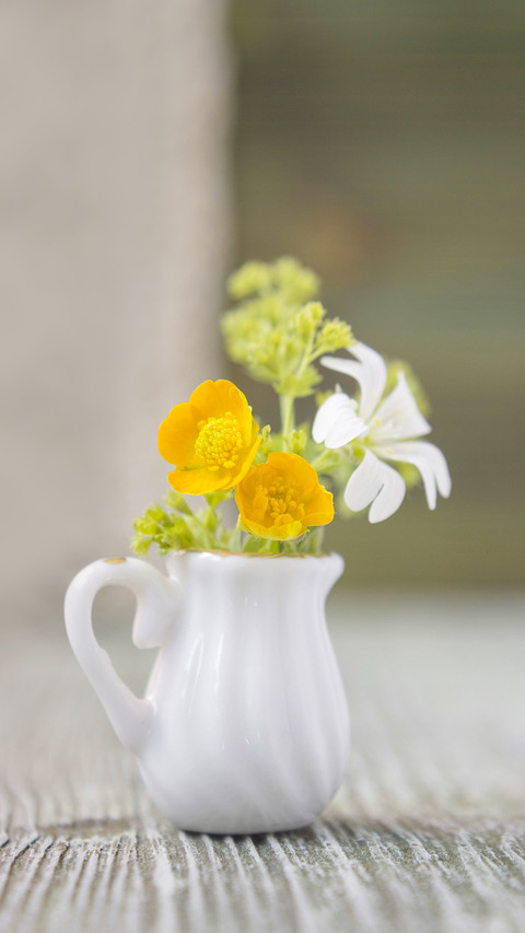 Bouquet of Ranunculus and Lady's Mantle in jug screenshot