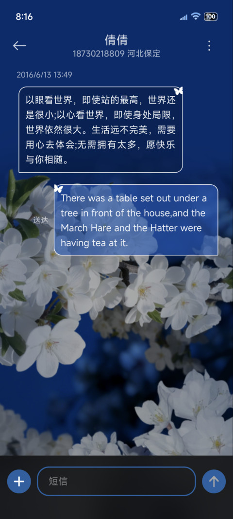 樱花夜壁纸景深时钟 screenshot