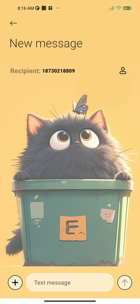 Hide and Seek Cat screenshot