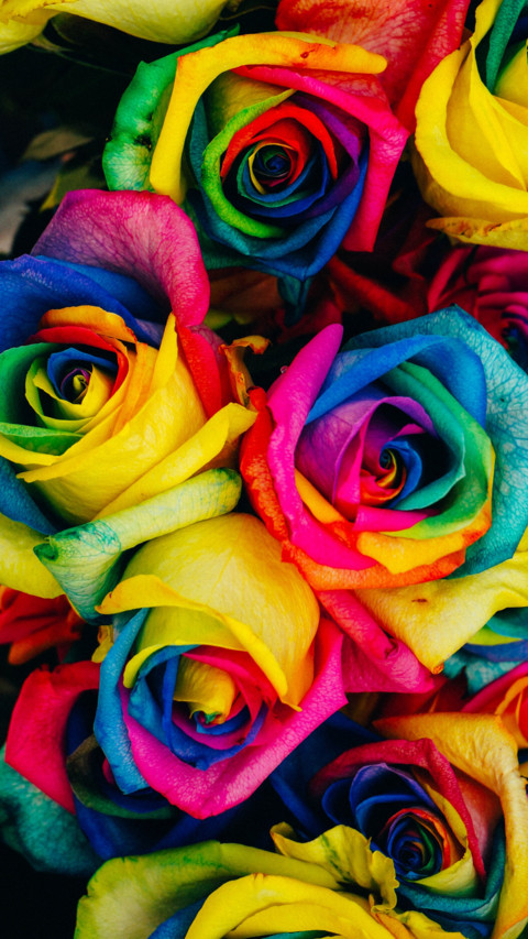 Floral (13) screenshot