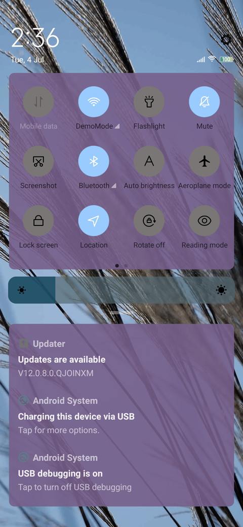 Reed screenshot