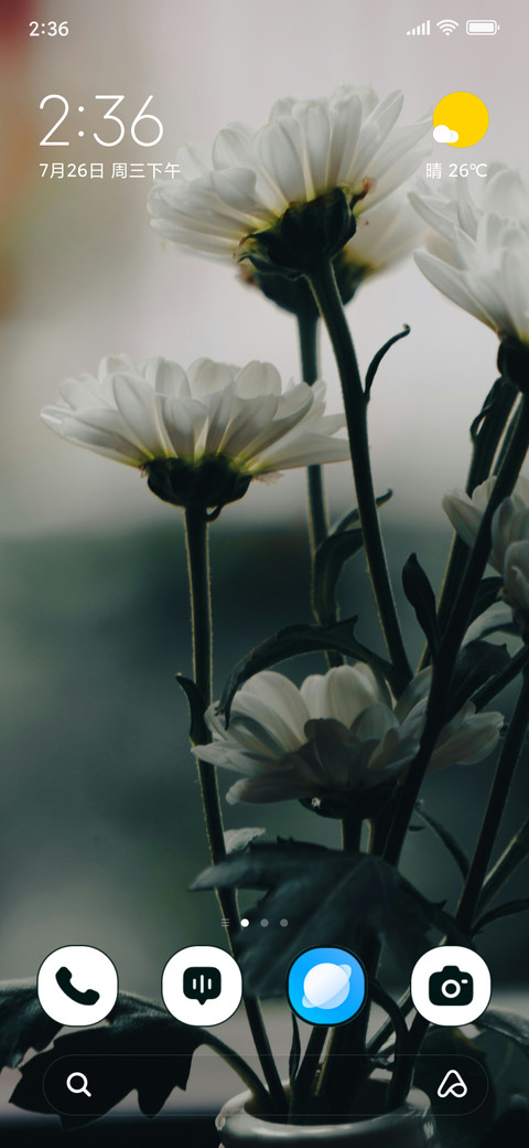 White Elegance screenshot