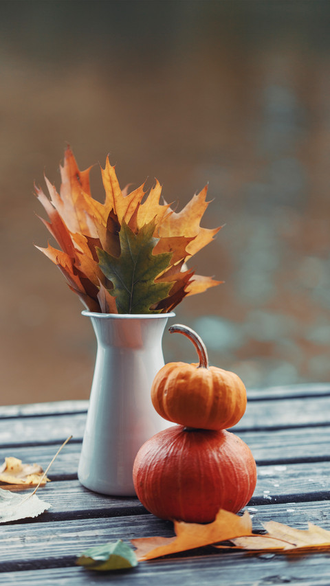 Advanced eating method of pumpkin 0 screenshot