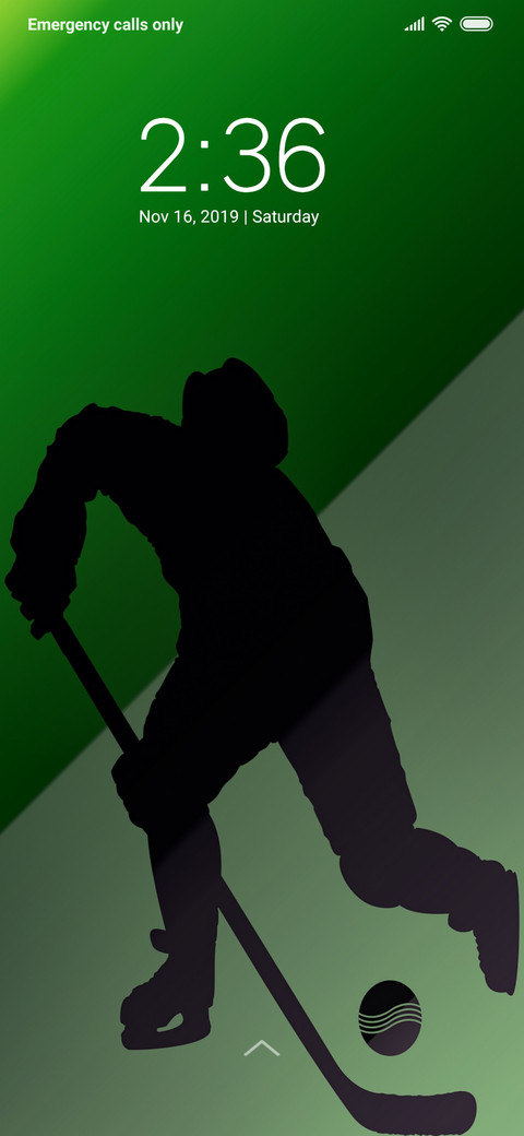 Hockey_DWM3 screenshot