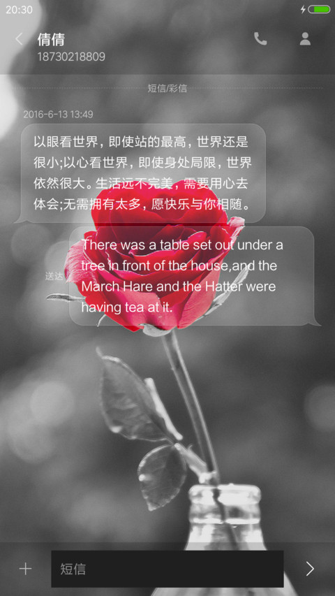 玫瑰花语 screenshot