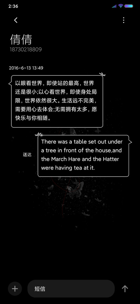 银蝶环身 screenshot