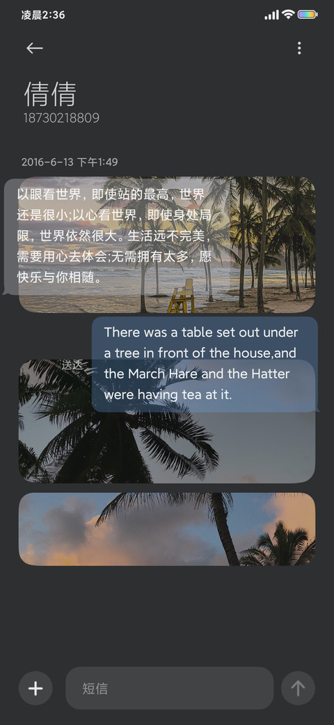 INS风景 浪漫椰林 screenshot
