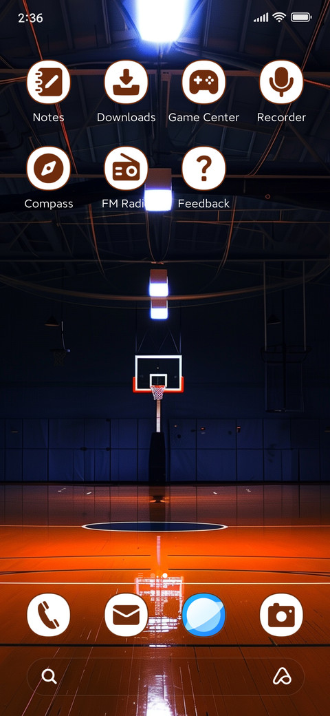 Basketball court screenshot