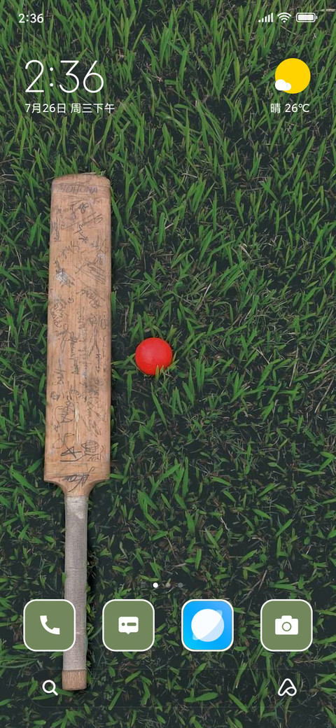 Cricket screenshot