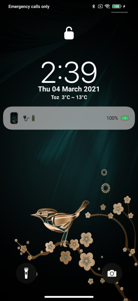 Dark Green screenshot
