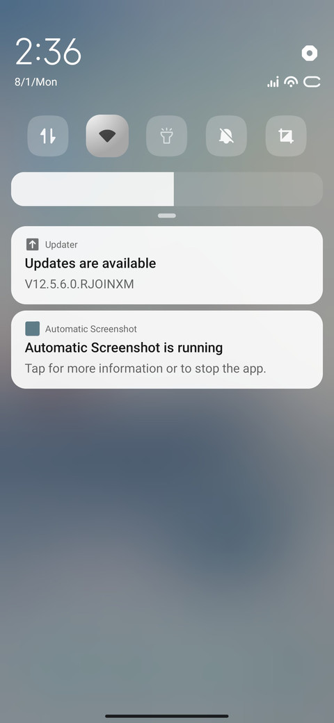 Snow Sliding screenshot