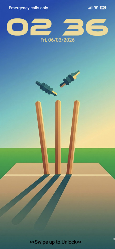 Clean Bowled ? screenshot
