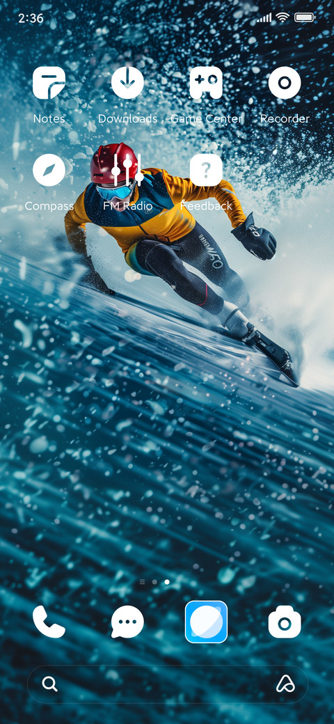 Speed skiing screenshot