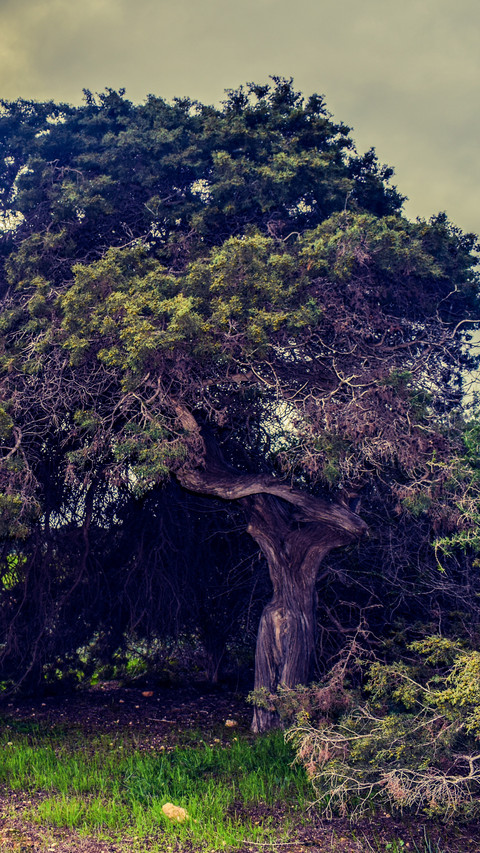 113294_1440x2560.jpg screenshot