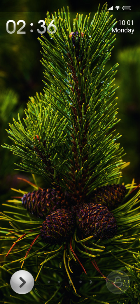 Pine si screenshot