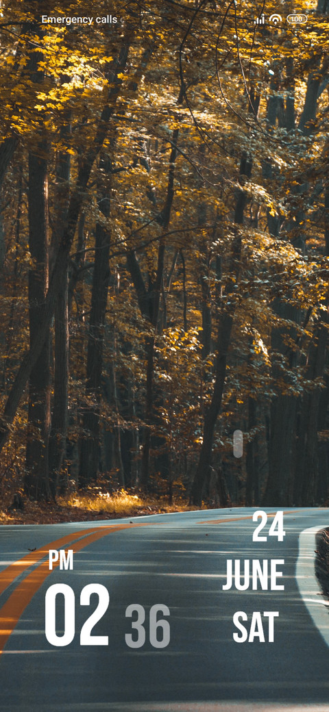 Road Trees screenshot
