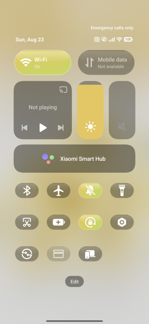 Sunny Bloom screenshot