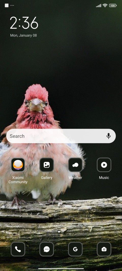 Bird screenshot