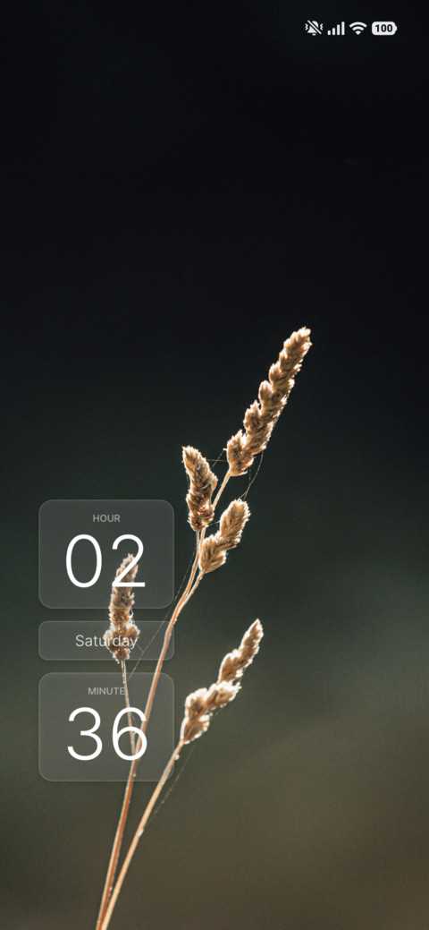 Lavender Calm screenshot