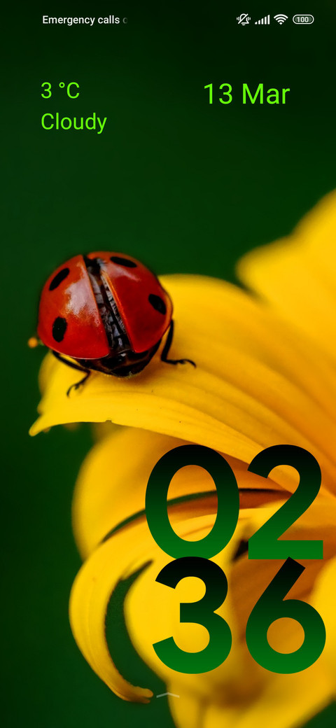 sunflower bug screenshot