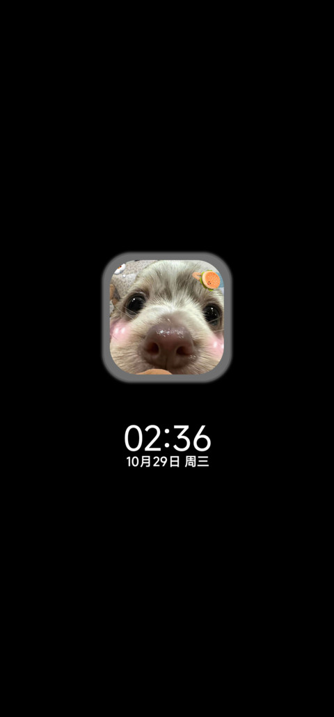 软萌狗狗 screenshot
