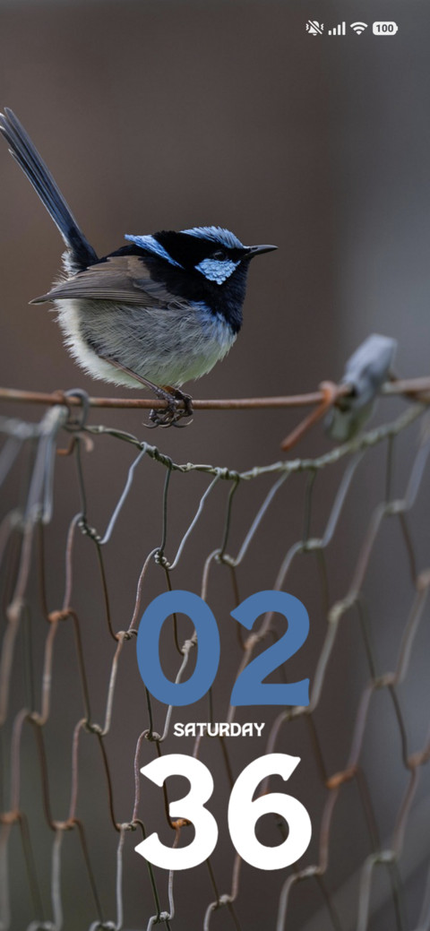 Wire Finch screenshot