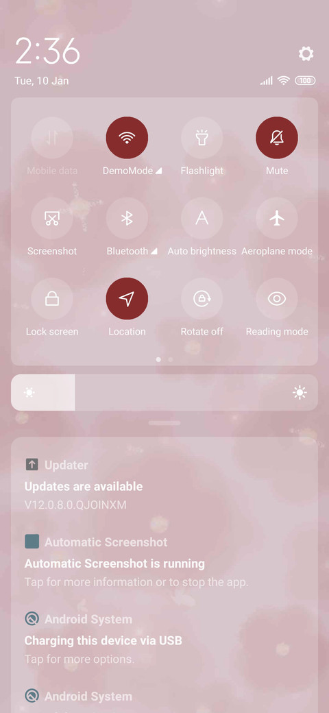 Romantic camellia screenshot
