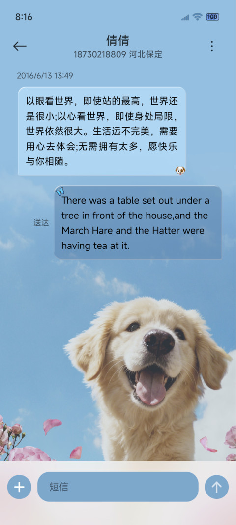 景深重感汪汪队花海 screenshot