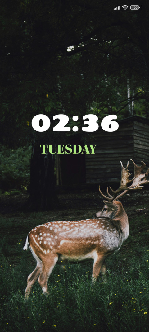 Spotted Rein Deer screenshot