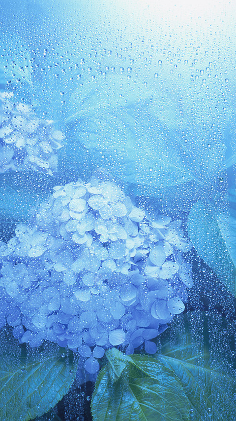 二十四节气之雨水 screenshot