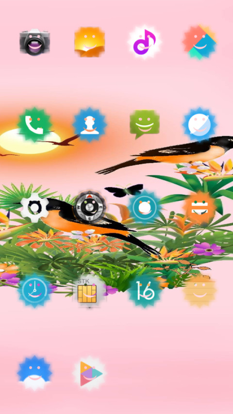 Birds_DWM19 screenshot