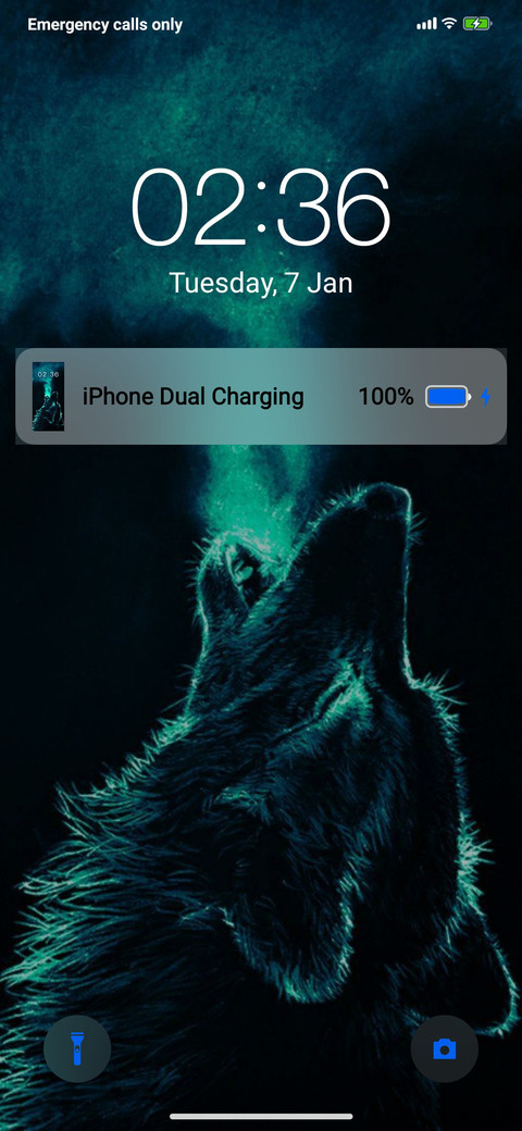 Ios dual v11 screenshot