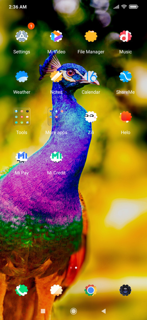 Peacock_DWM2 screenshot