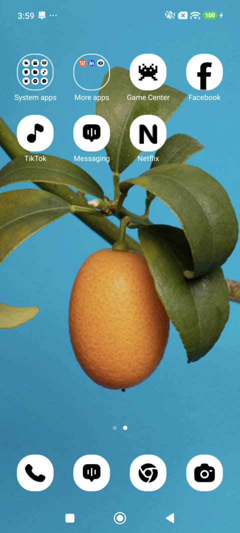 Citrus Glow screenshot