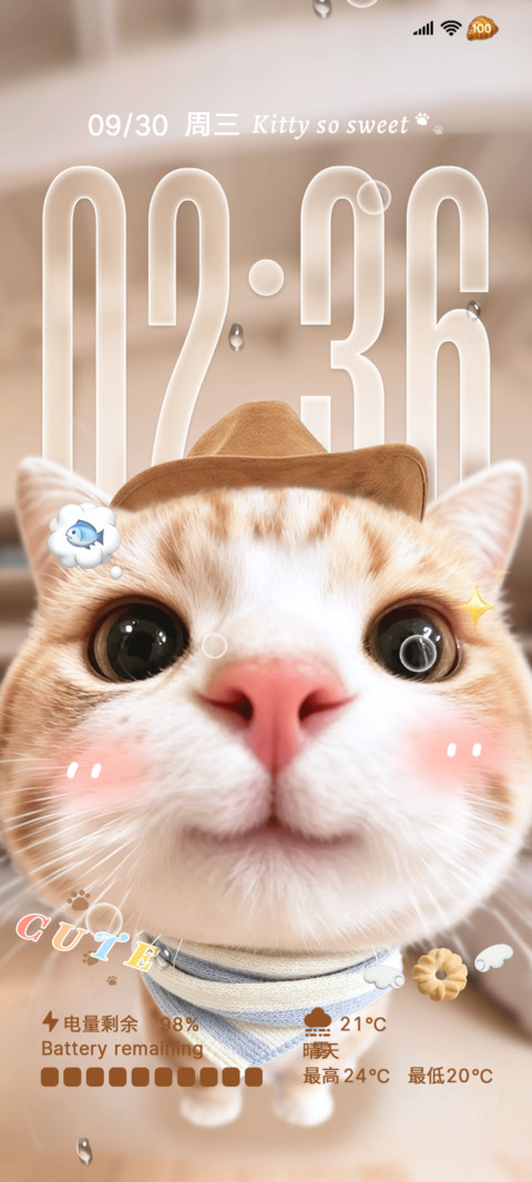 大头小猫 自定义DIY screenshot