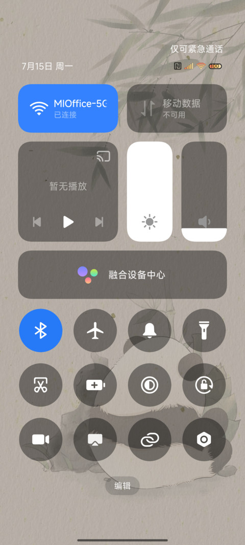 熊猫夏日 国风时辰 screenshot