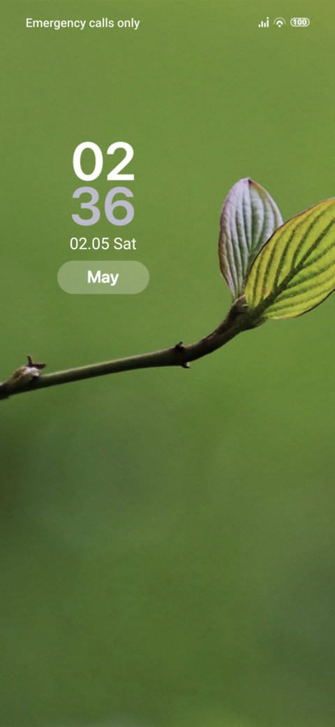 Leaf screenshot