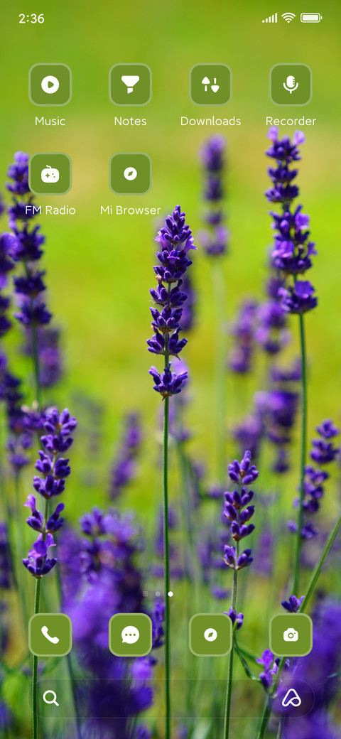 Field screenshot