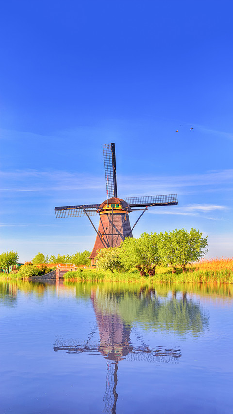 Traditional Romantic Dutch Windmills in Kinderdijk Village screenshot